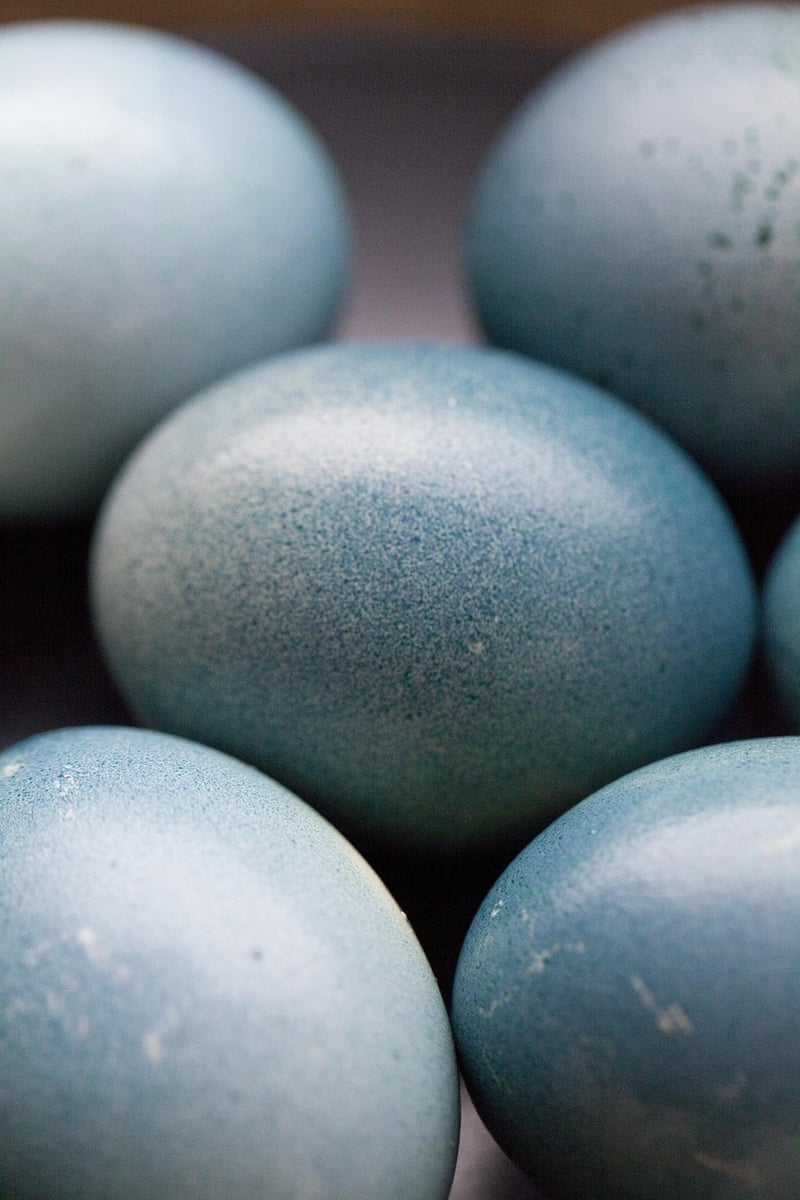 Eco-friendly Easter decor