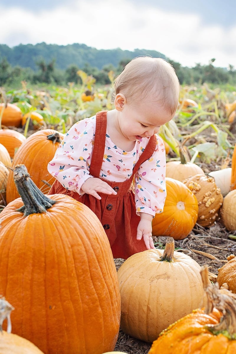 Upcycled Pumpkin Lanterns